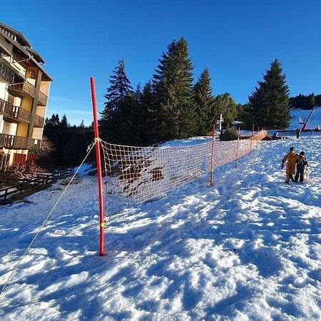 Charmant Studio Rez-De-Neige Chabanon Selonnet Luaran gambar